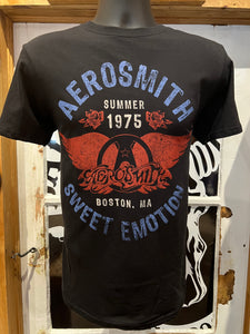 T-shirt Aerosmith 75